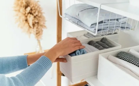 Professional Home Organization Services for a Tidy Home