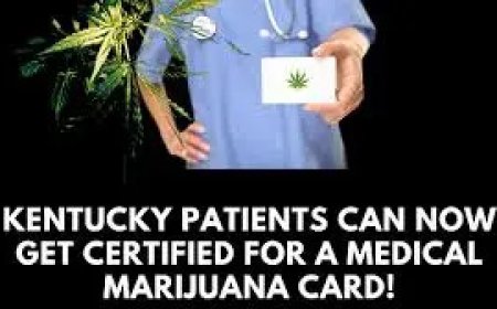 Top 5 Trusted Medical Marijuana Providers Near Me