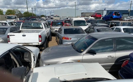 Secrets in the Scrapyard: Unusual Discoveries in Car Recycling