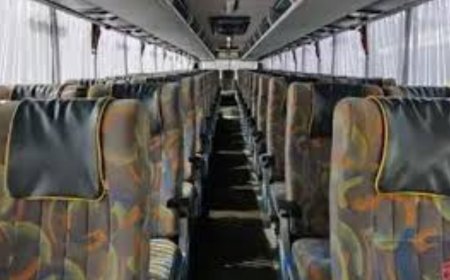 How Much Does a Party Bus Rent Service Cost? Pricing Guide