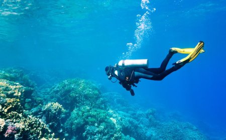 Underwater Diving in Qatar: Discover the Hidden Wonders Beneath the Gulf