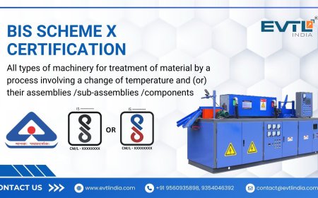 Everything You Need to Know About Scheme X