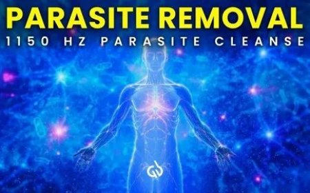 When to Call a Mold Specialist Austin Homeowners Trust