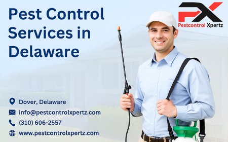 How to Handle Pest Emergencies with Expert Pest Control in Glasgow