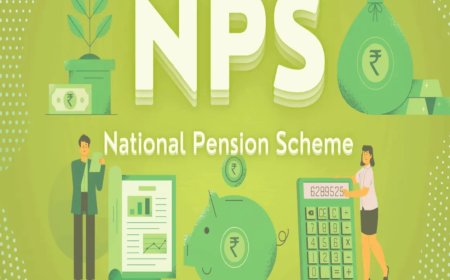 National Pension System: Top NPS Schemes with Over 15% Returns in 1 year