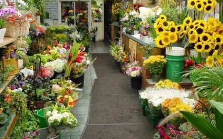 Most Instagrammable Flowers Toronto Has Right Now