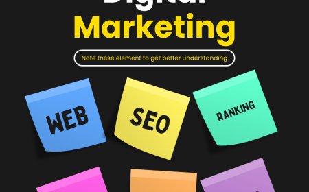 Top-Rated SEO Companies in Delhi for Commerce Growth