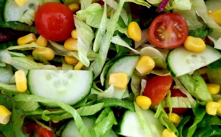 Healthy Lunch in Los Angeles: Where to Eat Clean and Feel Great