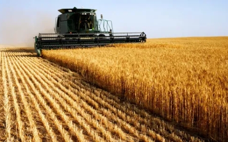 Farm Fuel Suppliers: Powering the Agriculture Industry