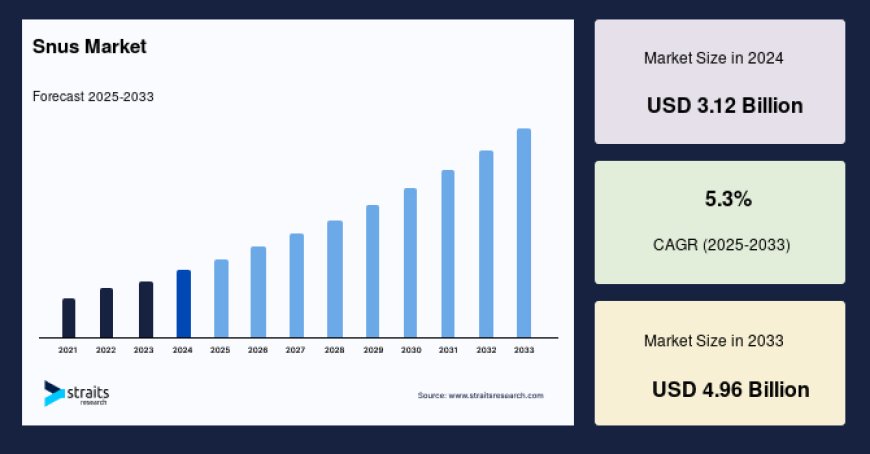 Snus Market: Comprehensive Growth Factors and Industry Drivers Analysis, Forecast to 2033