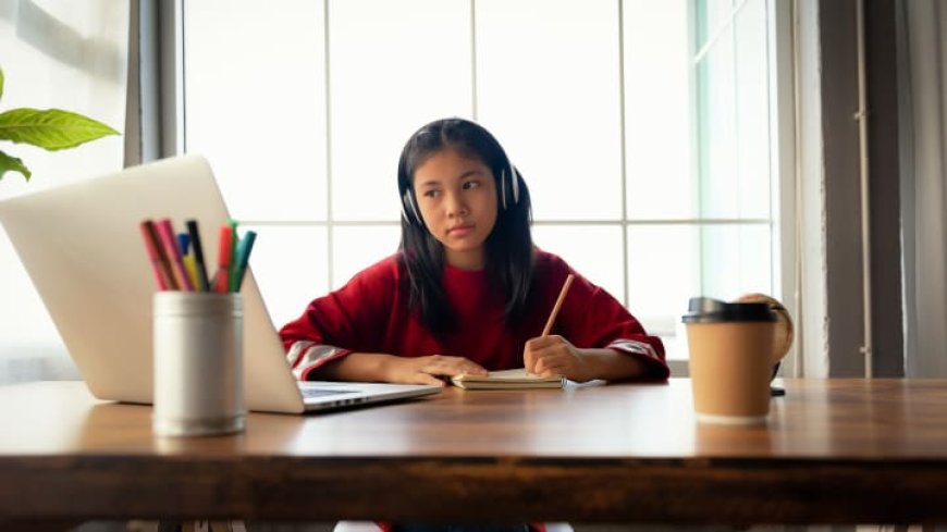 NVQ Coursework Help: A Complete Guide for Success