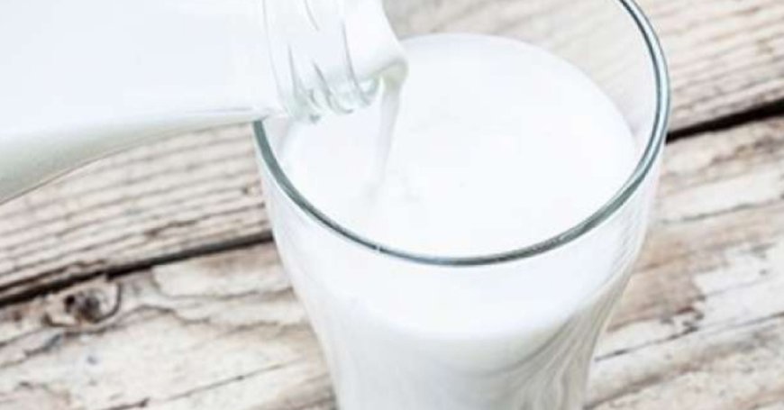 What are the key nutrients in organic milk from Chennai's farms that boost child's growth?