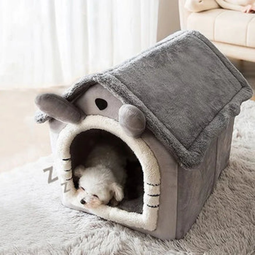 Discover the Secret to Indestructible Furniture for Pets