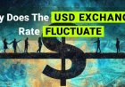 Why Does the USD Exchange Rate Fluctuate? | Beginner’s Forex Guide