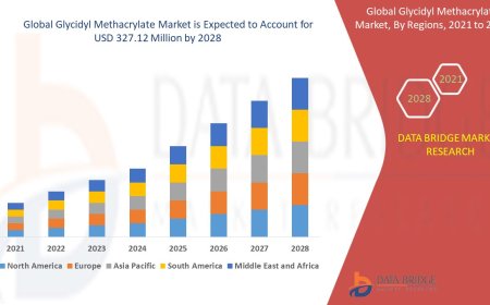 Glycidyl Methacrylate Market Growth and Future Trends