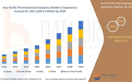 Asia-Pacific Pharmaceutical Excipients Market: Trends and Growth Opportunities