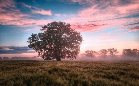 Win Big Every Day with Slot Bosku33