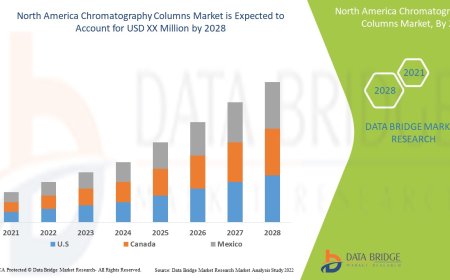 North America Chromatography Columns Market: Precision Tools Driving Analytical Excellence