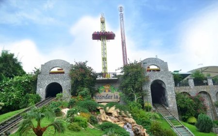 Explore the Best Mountain Tours in India with Book My Trip India