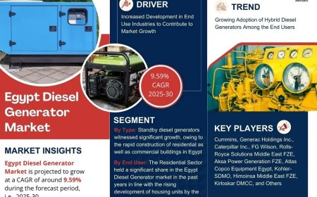 Egypt Diesel Generator Market Report 2025–2030: Size, Share & Forecast