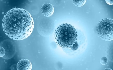 Biochemical Assay in Clinical Diagnostics: What You Need to Know