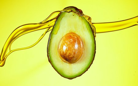 Global Avocado Oil Market to Reach US$ 1.06 Billion by 2033, Growing at a CAGR of 5.71% – Renub Research