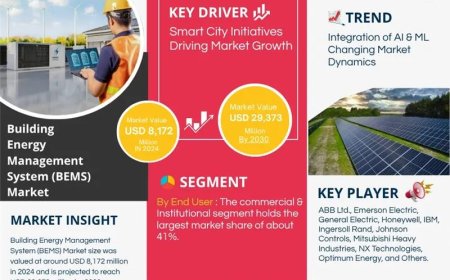Global Building Energy Management System (BEMS) Market Size, Share, Trends, Growth Analysis, Report 2025-2030