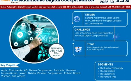 Global Automotive Digital Cockpit Market Size, Share, Trends, Growth Analysis, Report 2025-2030