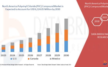 North America Polyvinyl Chloride (PVC) Compound Market Scope: Growth, Share, Value, Size, and Analysis
