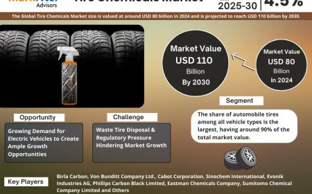 Global Tire Chemicals Components Market Value and Growth Projections for 2025 - 2030