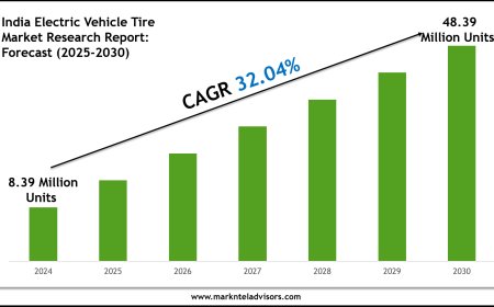 2025–2030 India Electric Vehicle Tire Market Landscape: Growth, Share & Opportunities