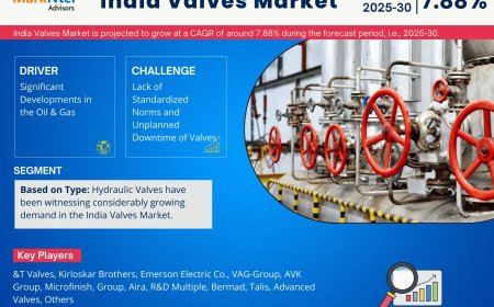 India Valves Market Value and Growth Projections for 2025 - 2030