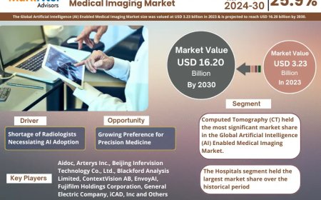 Global Artificial Intelligence (AI) Enabled Medical Imaging Components Market Value and Growth Projections for 2025 - 2030