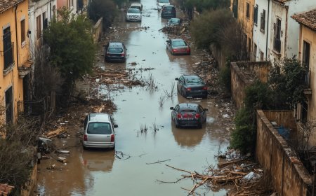 How Can You Help Flood Victims and Earn Endless Rewards?