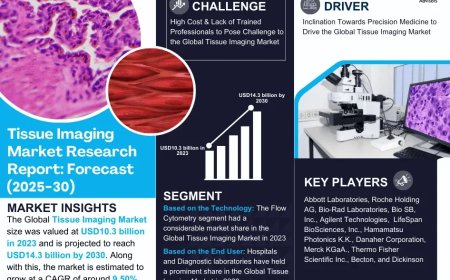 Global Tissue Imaging Market Value and Growth Projections for 2025 - 2030