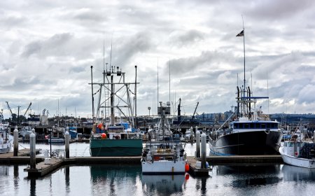 Why Every Boater Needs High-Quality Marine Antenna Mounts