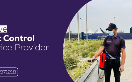 Best Pest Control Company in Bangladesh: Your Trusted Partner for a Pest-Free Life