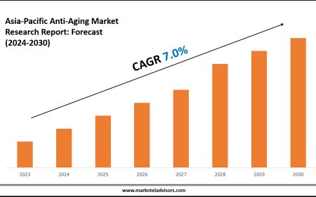 2024–2030 Asia-Pacific Anti-Aging Market Snapshot: Growth, Value & Forecast