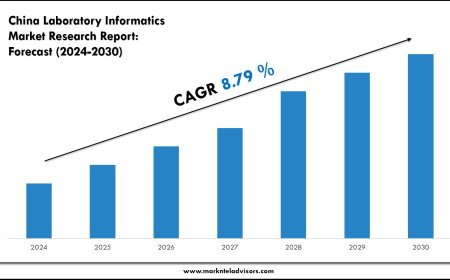 2024–2030 China Laboratory Informatics Market Snapshot: Growth, Value & Forecast