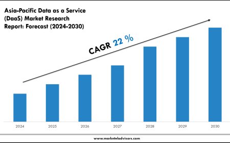 Asia-Pacific Data as a Service (DaaS) Market Size, Share and Competitive Insight Report 2030