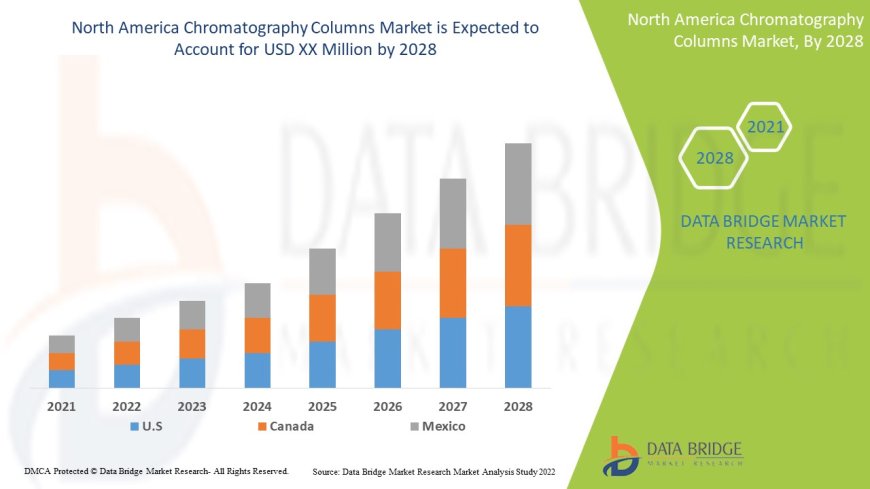 North America Chromatography Columns Market: Precision Tools Driving Analytical Excellence
