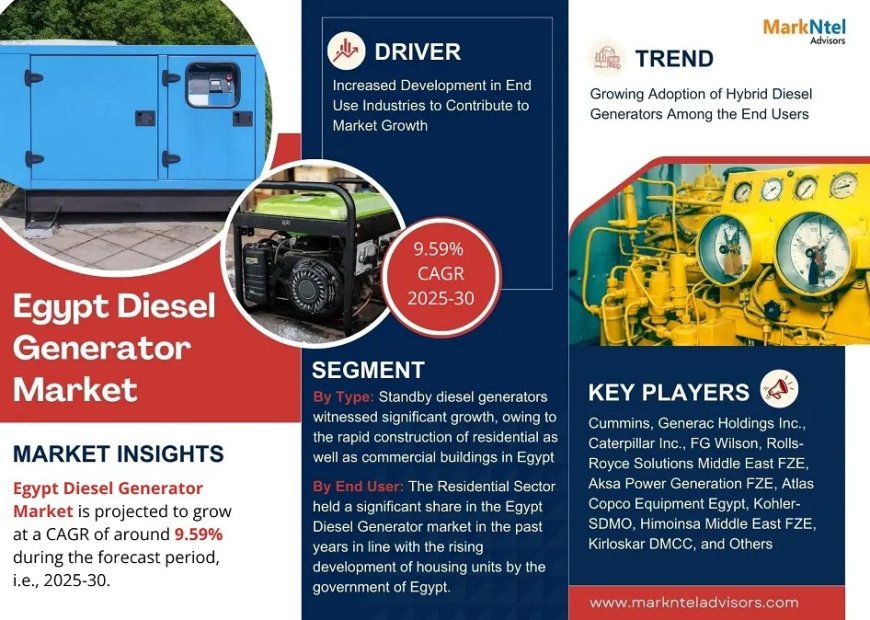 Egypt Diesel Generator Market Report 2025–2030: Size, Share & Forecast