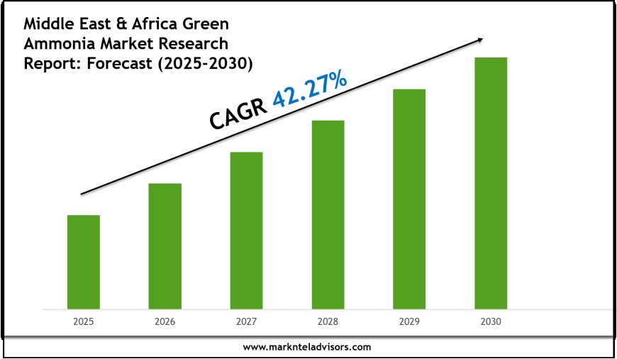 Strategic Insights on Middle East & Africa Green Ammonia Market: Forecast, Size & Trends