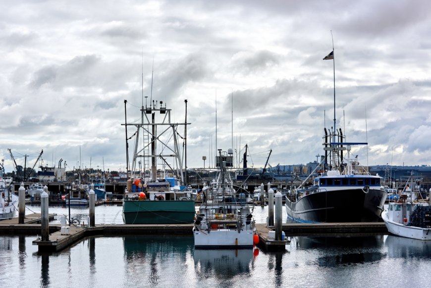 Why Every Boater Needs High-Quality Marine Antenna Mounts